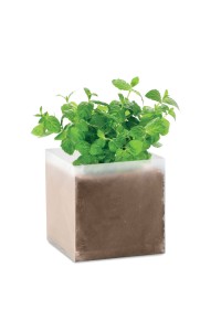 Substrat avec graines Menthe