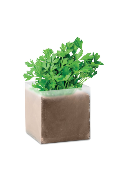 Substrat avec graines Persil