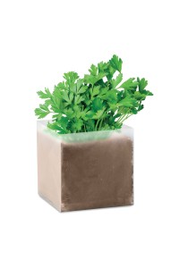 Substrat avec graines Persil