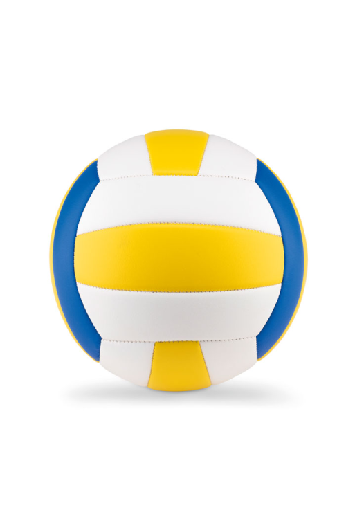 Ballon de volley