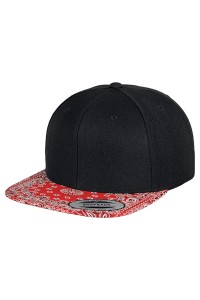 Casquette snapback à imprimé mode (6089DESIGNER)