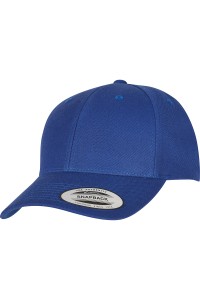 Casquette snapback premium à visière courbée (6789M)