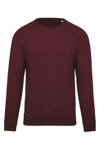 Sweat-shirt BIO col rond manches raglan Homme