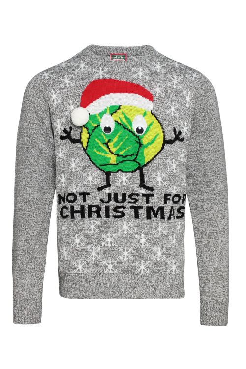 Pull adulte à motif de chou de Bruxelles « Not Just For Christmas »