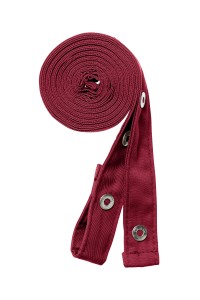 Set d'attache pour tablier Potenza x Classic (42141-01)