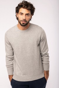 Pull écoresponsable col rond homme