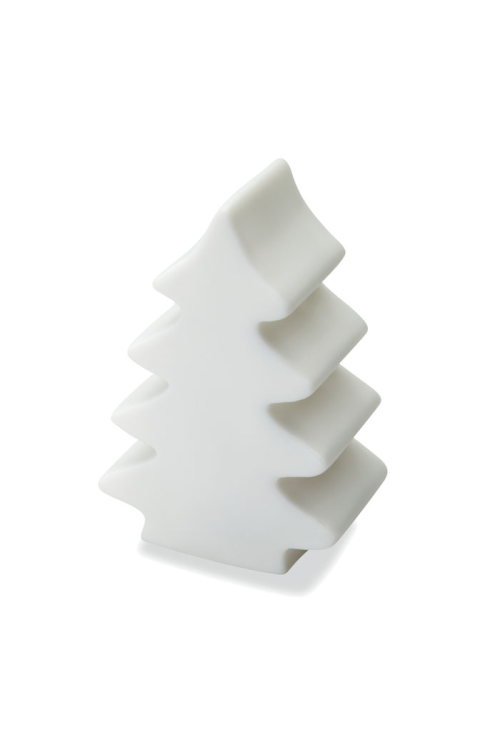 Lumière changeante  sapin