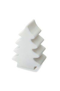 Lumière changeante  sapin