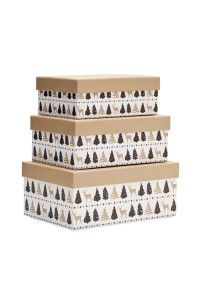 3 boîtes pour cadeaux de Noël