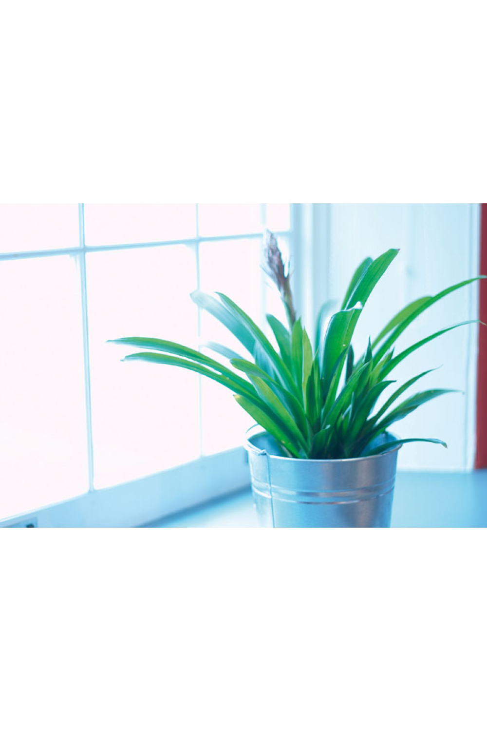 Image produit Image produit