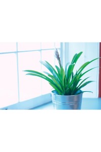 Image produit Image produit