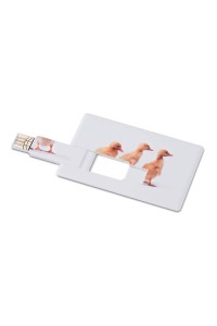 Creditcard. USB flash 16GB