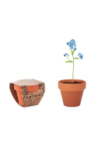 Pot graines de myosotis