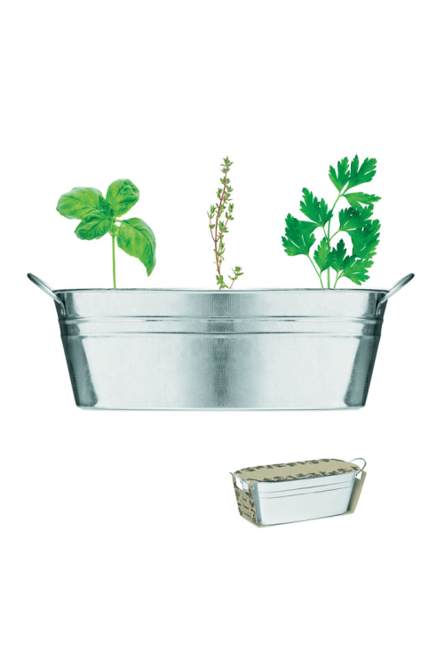 Bac en zinc & herbes aromatique