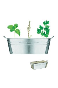 Bac en zinc & herbes aromatique
