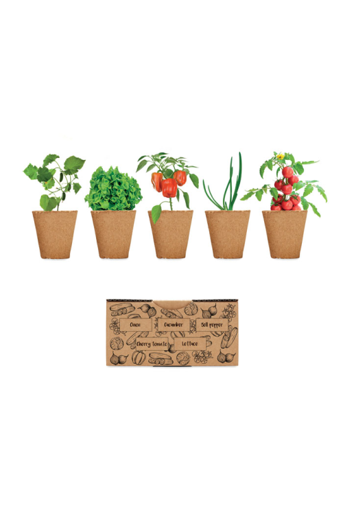 Kit de culture de salade