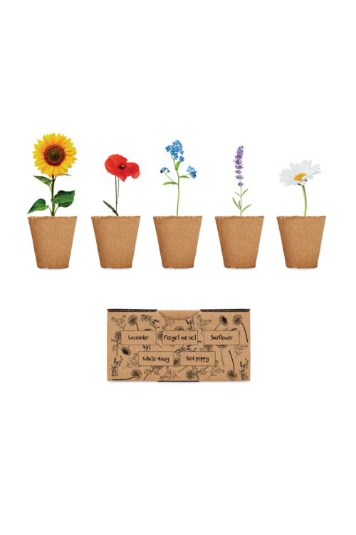 Kit de culture de fleurs