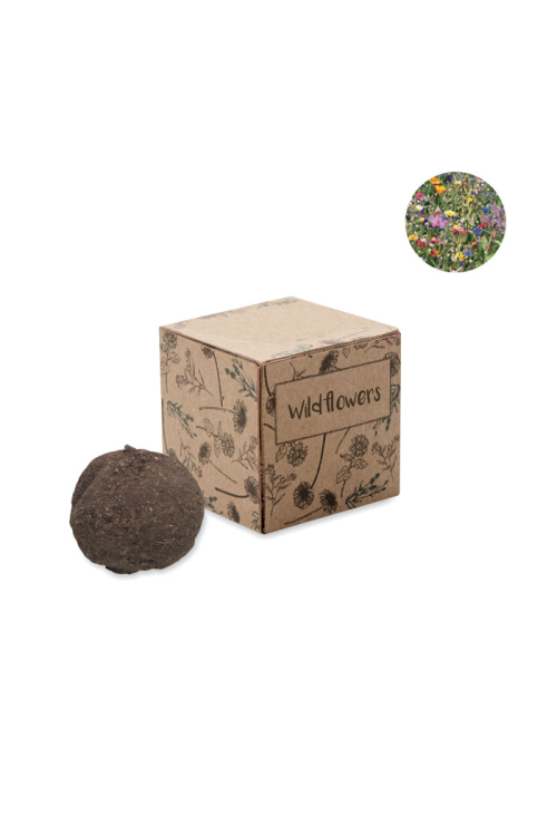 Boule graines de fleurs sauvage