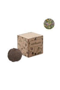 Boule graines de fleurs sauvage