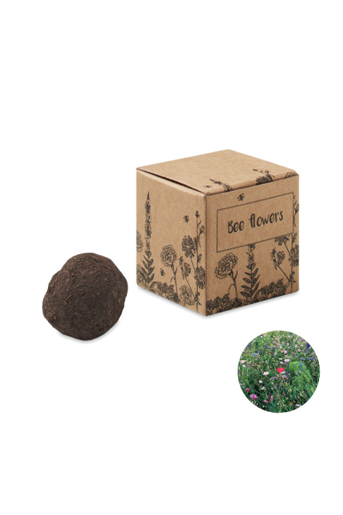 Bombe graines fleurs d'abeille