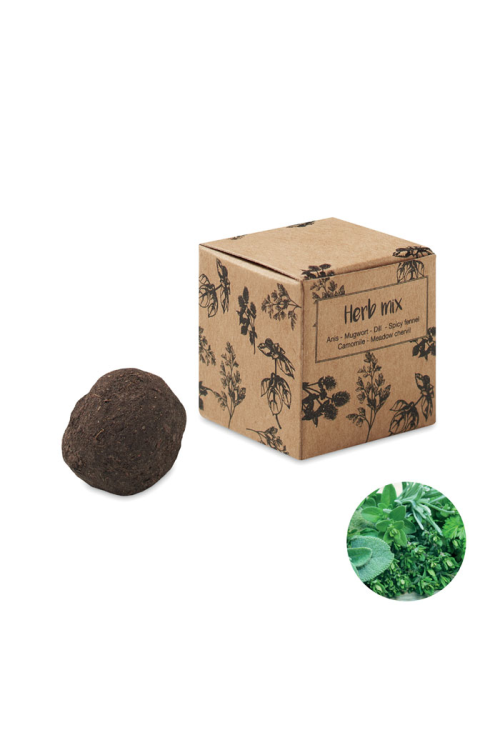 Bombe de graines d'herbes