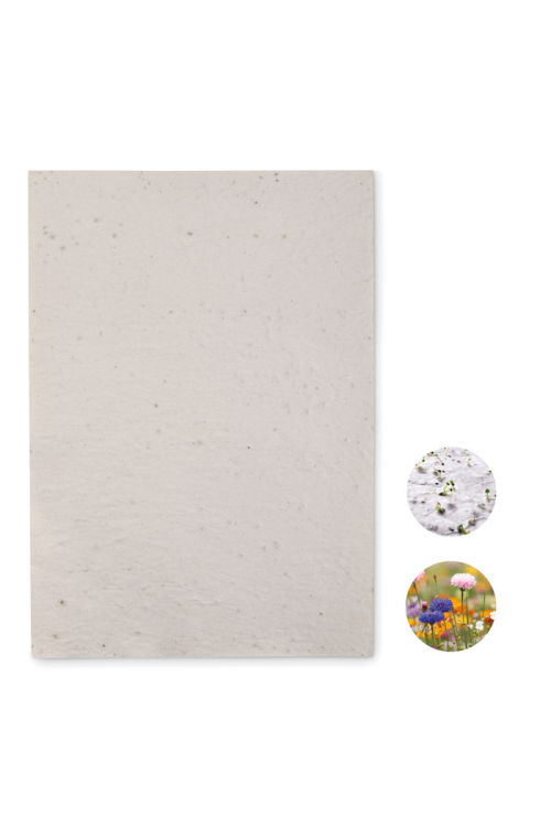 Papier A4 graines de fleurs