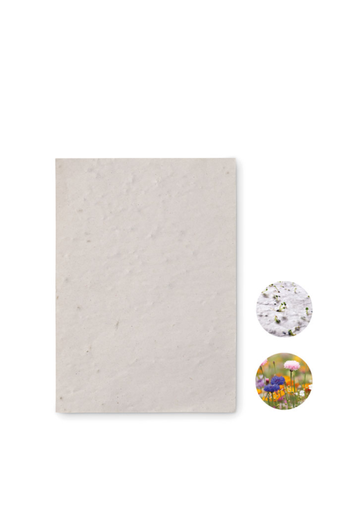 Papier A6 graines de fleurs