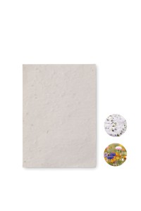 Papier A6 graines de fleurs